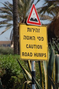 The_Road_Humps
