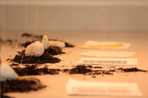 Fotografías de Luis Arturo García, Quetzali Animas, Karla Bravo, Gisele Esperón y  Ana Paula Vega