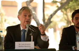 Fotografías por Ana Paula Vega 